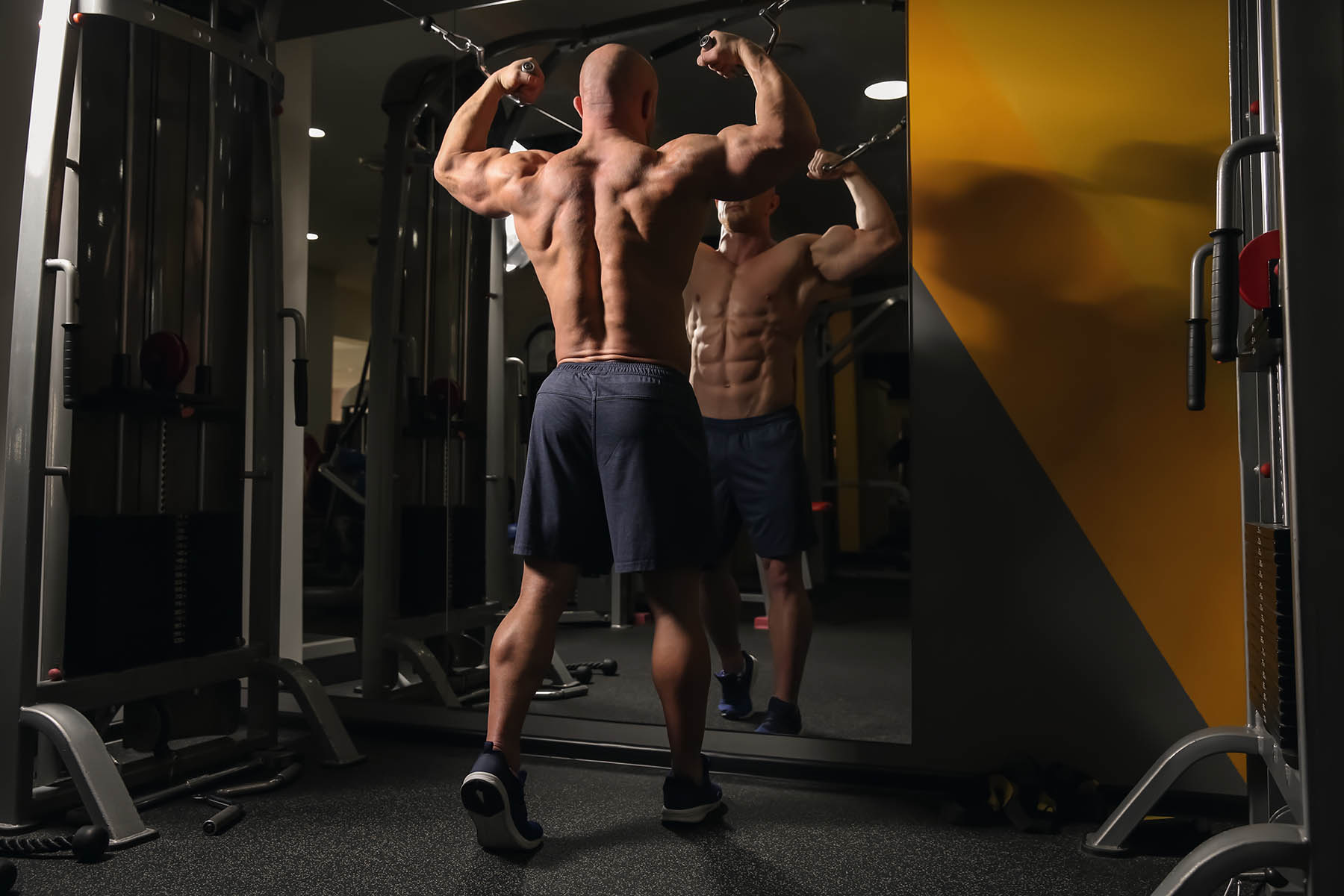 Build a Bigger Back With These Back Workouts